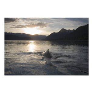 USA, Alaska, Glacier-Bay-Nationalpark, Fotodruck