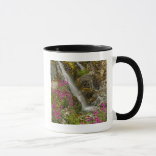USA, Alaska, Glacier-Bay-Nationalpark. Schmalblätt Tasse