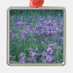USA, Alaska, Hillberg Lake Wilderness Wild Silbernes Ornament