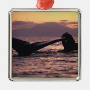 USA, Alaska, innere Durchgangs-Buckelwale Silbernes Ornament