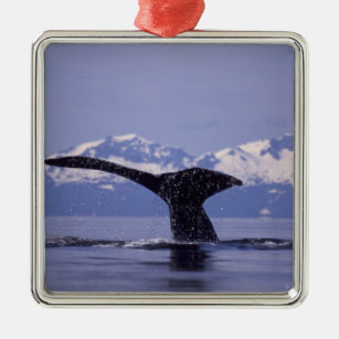 USA, Alaska, innerer Durchgangs-Buckelwal Silbernes Ornament