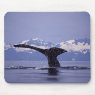USA, Alaska, Inside Passage Buckelwal Mousepad