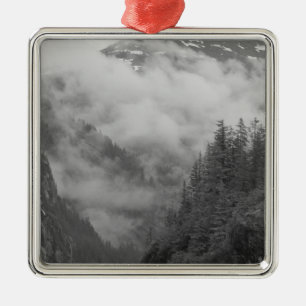 USA, Alaska, Juneau, Regenwald bedeckt Fjorde in Silbernes Ornament