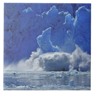 USA, Alaska, Juneau. Teil des South Sawyer Fliese
