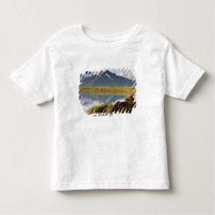 USA, Alaska, Katmai National Park, Brown Bears Kleinkind T-shirt
