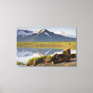 USA, Alaska, Katmai National Park, Brown Bears Leinwanddruck
