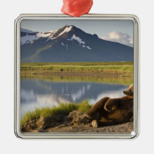 USA, Alaska, Katmai National Park, Brown Bears Silbernes Ornament