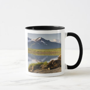 USA, Alaska, Katmai National Park, Brown Bears Tasse