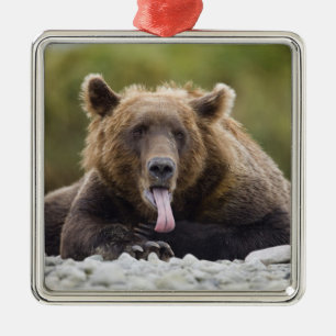 USA, Alaska, Katmai National Park, Kukak Bay, Silbernes Ornament