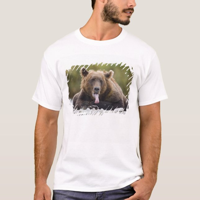 USA, Alaska, Katmai National Park, Kukak Bay, T-Shirt (Vorderseite)