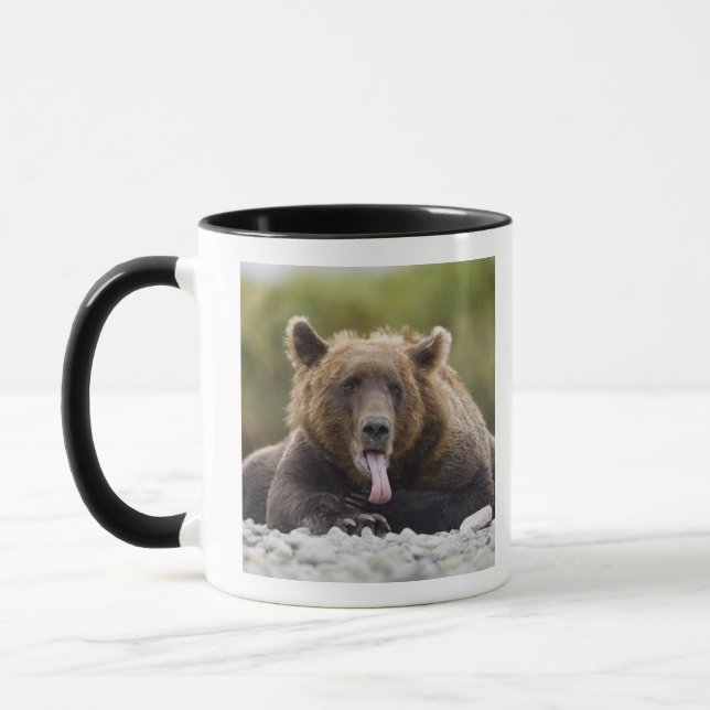 USA, Alaska, Katmai National Park, Kukak Bay, Tasse (Links)