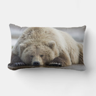USA, Alaska, Katmai-Nationalpark, Braunbär Lendenkissen