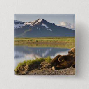 USA, Alaska, Katmai-Nationalpark, Braunbären Button