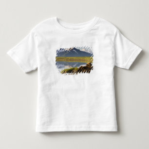 USA, Alaska, Katmai-Nationalpark, Braunbären Kleinkind T-shirt
