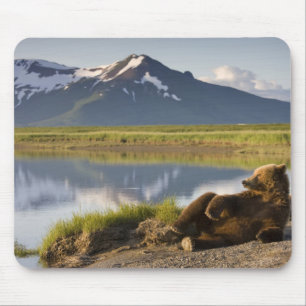 USA, Alaska, Katmai-Nationalpark, Braunbären Mousepad