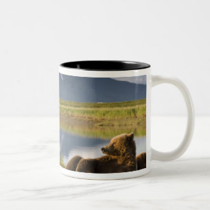 USA, Alaska, Katmai-Nationalpark, Braunbären Zweifarbige Tasse