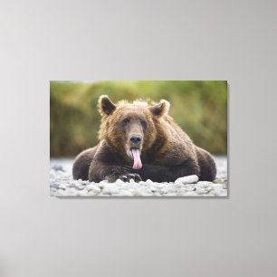 USA, Alaska, Katmai Nationalpark, Kukak Bay, Leinwanddruck