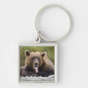 USA, Alaska, Katmai-Nationalpark, Kukak Bay, Schlüsselanhänger