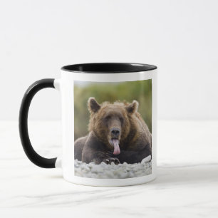 USA, Alaska, Katmai-Nationalpark, Kukak Bay, Tasse