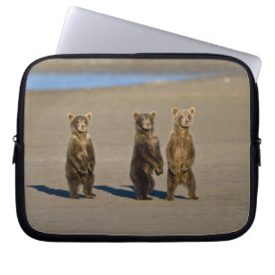 USA. Alaska. Küstenbraunbären-Jungtiere Laptopschutzhülle