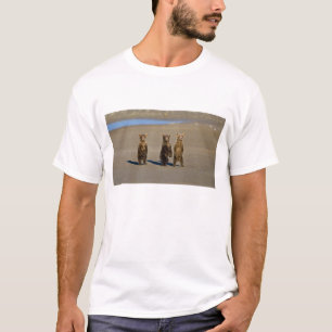 USA. Alaska. Küstenbraunbären-Jungtiere T-Shirt