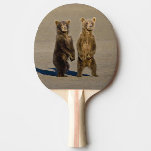 USA. Alaska. Küstenbraunbären-Jungtiere Tischtennis Schläger