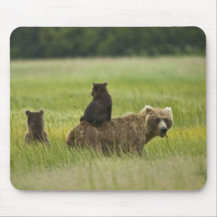 USA, Alaska, Lake Clark Nationalpark Mousepad