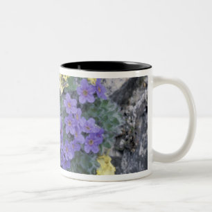 USA, Alaska National Wildlife Refuge (ANWR).2 Zweifarbige Tasse