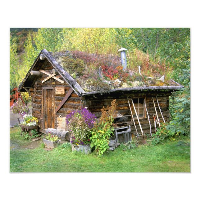 USA, Alaska, Nationalpark Denali, Kantishna. Fotodruck (Vorne)