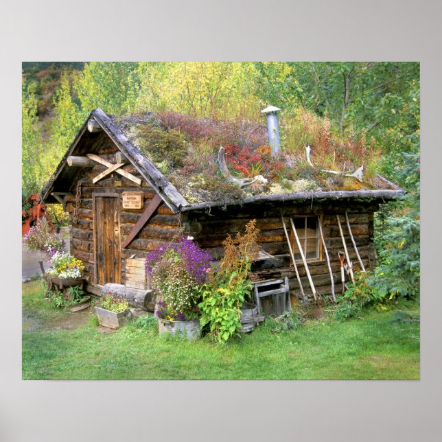 USA, Alaska, Nationalpark Denali, Kantishna. Poster (Vorne)