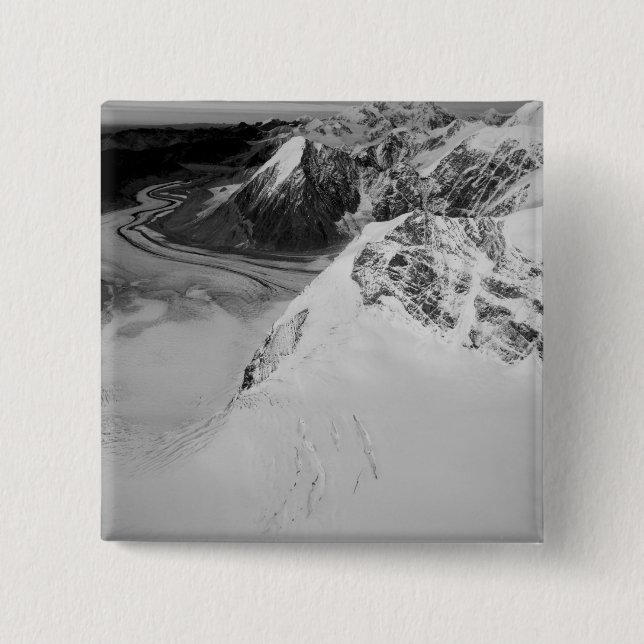 USA, Alaska, Nationalpark Denali, Luftsicht Button (Vorderseite)