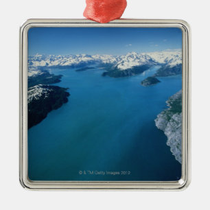 USA, Alaska, Nationalpark Glacier Bays, Silbernes Ornament