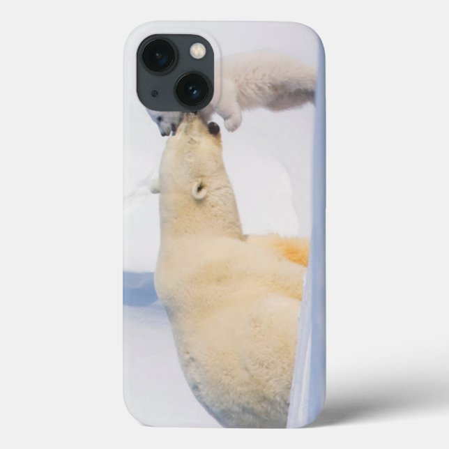 USA, Alaska, Nordhang | Polar Bears Case-Mate iPhone Hülle (Rückseite)