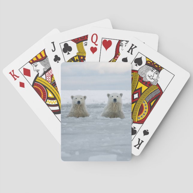 USA, Alaska, North Slope, Polar Bears Spielkarten (Rückseite)