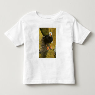 USA, Alaska, Pribilof-Inseln, St. Paul. Büschelig Kleinkind T-shirt