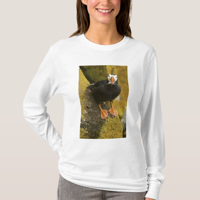 USA, Alaska, Pribilof Islands, St Paul. gespannt T-Shirt (Vorderseite)