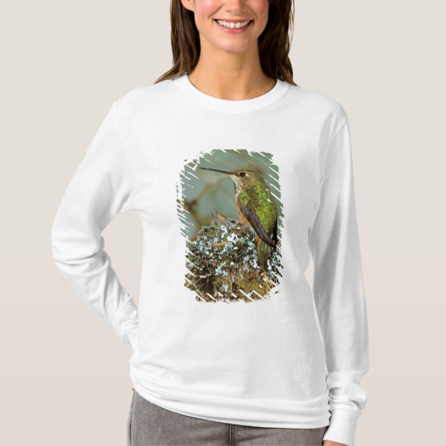 USA, Alaska. Rufous Humming-Vogel T-Shirt (Vorderseite)