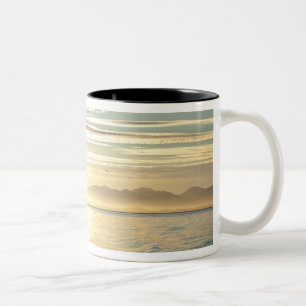 USA, Alaska, Südosten in der Nähe von Ketchikan, S Zweifarbige Tasse