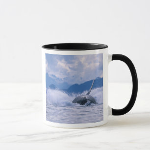 USA, Alaska, Tongass National Forest, Buckelwal Tasse