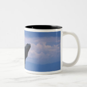 USA, Alaska, Tongass National Forest, Buckelwal Zweifarbige Tasse