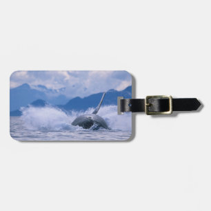 USA, Alaska, Tongass National Forest, Humpback Gepäckanhänger