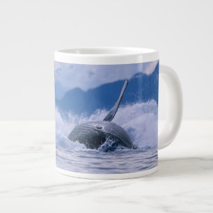 USA, Alaska, Tongass National Forest, Humpback Jumbo-Tasse