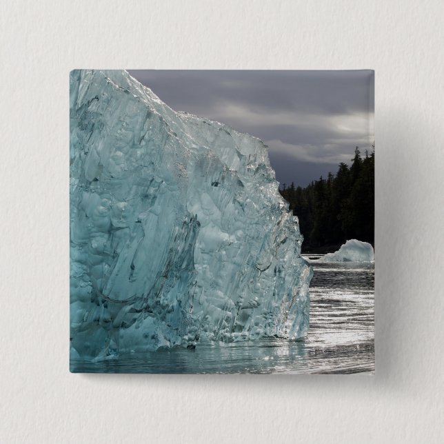 USA, Alaska, Tongass National Forest, Tracy 2 Button (Vorderseite)