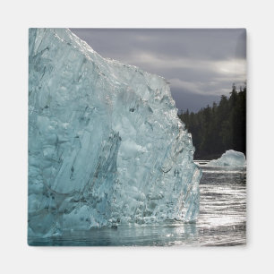 USA, Alaska, Tongass National Forest, Tracy 2 Magnet