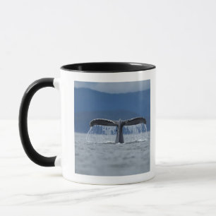 USA, Alaska, Tongass staatlicher Wald, Buckel Tasse