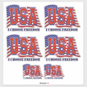 USA American flagge I Choose Freedom Patriotic Aufkleber