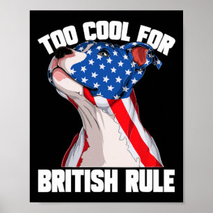 Usa Amerikanische Flagge Frieden Liebe Cheerleadin Poster
