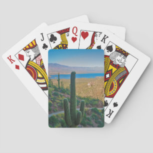 USA, Arizona. Blick vom Eingang zum Tonto Spielkarten