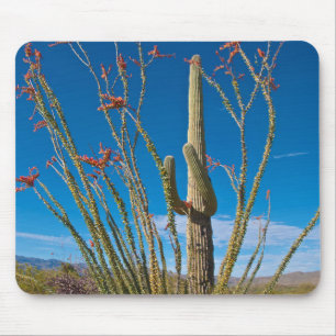 USA, Arizona. Cactus in Saguaro Mousepad