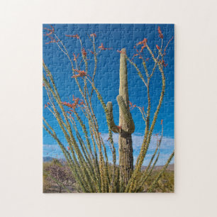 USA, Arizona. Cactus in Saguaro Puzzle